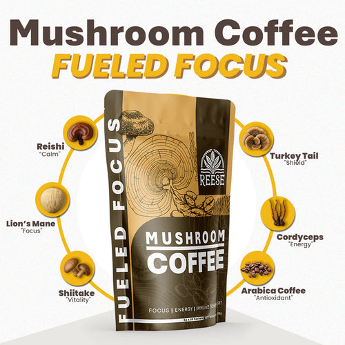 Focus Fuel: Organic Mushroom Coffee